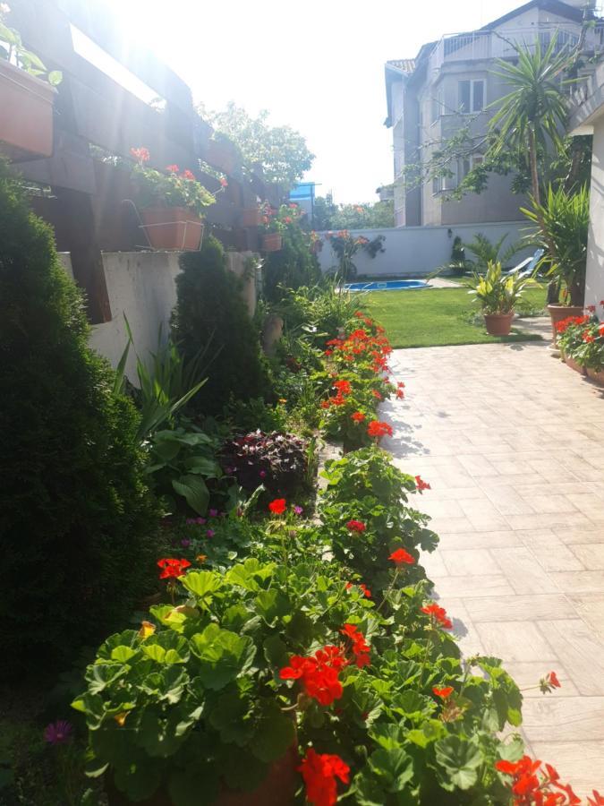 Cherry Garden Apartments Sveti Vlas Exterior photo